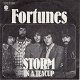 VINYLSINGLE * FORTUNES * STORM IN A TEACUP * GERMANY 7