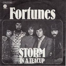 VINYLSINGLE * FORTUNES * STORM IN A TEACUP * GERMANY 7"