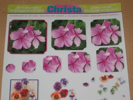 3D + PIRAMIDE Knipvel (A4) --- CHRISTA SL 01 --- BLOEMEN - 1