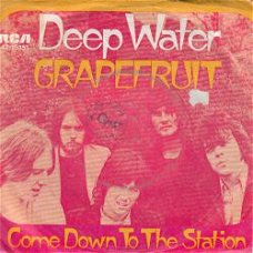 VINYLSINGLE * GRAPEFRUIT * DEEP WATER * GERMANY 7"