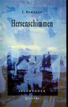 Bernlef; Hersenschimmen - 1