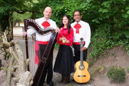 Trio Los Mayas! Mexicaanse, Zuid-Amerik. & Spaanse muziek. - 1