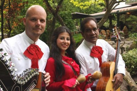 Trio Los Mayas! Mexicaanse, Zuid-Amerik. & Spaanse muziek. - 1