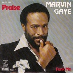 VINYLSINGLE * MARVIN GAYE * PRAISE * GERMANY 7