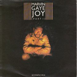 VINYLSINGLE * MARVIN GAYE * JOY -PART 1 * HOLLAND 7