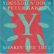 VINYLSINGLE *PETER GABRIEL ( GENESIS ) * SHAKIN' THE TREE * - 1 - Thumbnail