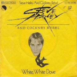 VINYLSINGLE *STEVE HARLEY & COCKNEY REBEL *WHITE, WHITE DOVE - 1