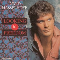 VINYLSINGLE *DAVID HASSELHOFF * LOOKING FOR FREEDOM * FRANCE - 1