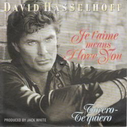 VINYLSINGLE * DAVID HASSELHOFF * JE T'AIME MEANS I LOVE YOU - 1