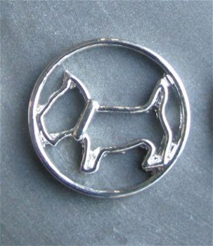 Window plate voor Memory glass locket, hond /Schotse terrier - 1