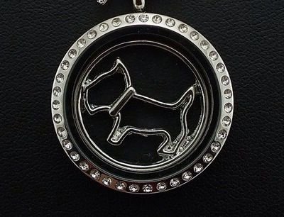 Window plate voor Memory glass locket, hond /Schotse terrier - 2