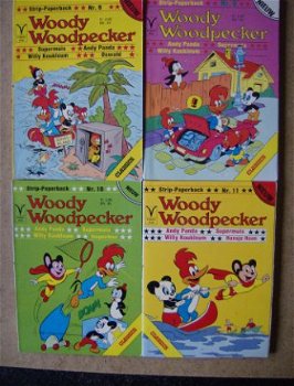 3 woody woodpecker pocket - 1