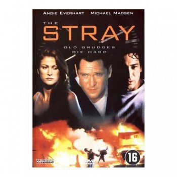 DVD Stray - 1