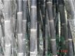 Bamboo bambou Pole Pole en bambou poteaux - 1 - Thumbnail