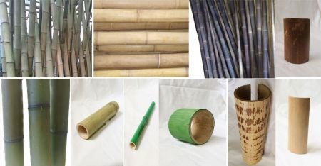 Bamboo bambou Pole Pole en bambou poteaux - 1