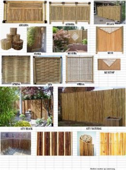 écran de bambou, le bambou écran jardin Arcadia. - 1