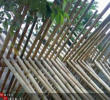 Bamboepaal bamboe palen bamboe paal - 1