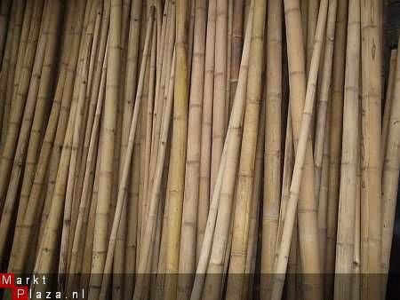 Bamboepaal bamboe palen bamboe paal - 1