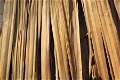 Shuro Nawa Japans Zwart palm en Rumput gras dakbedekking - 1 - Thumbnail