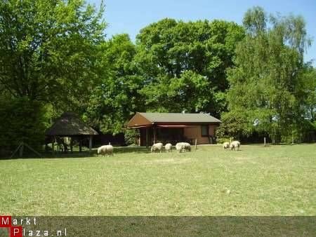 Vierhouten, Veluwe. Rustiek Gelegen Vrijstaand Vakantiehuis. - 1