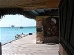 Ruim appartement op zonnig Aruba. - 1 - Thumbnail