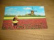 Kaart Holland molenland bloemenland - 1 - Thumbnail