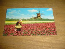 Kaart Holland molenland bloemenland
