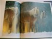 Palomino Horses Austria's Haflinger Horses Tomas Micek - 1 - Thumbnail