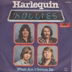 VINYLSINGLE * HOLLIES * HARLEQUIN * GERMANY 7