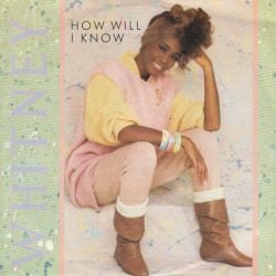 VINYLSINGLE * WHITNEY HOUSTON * HOW WILL I KNOW *GERMANY - 1