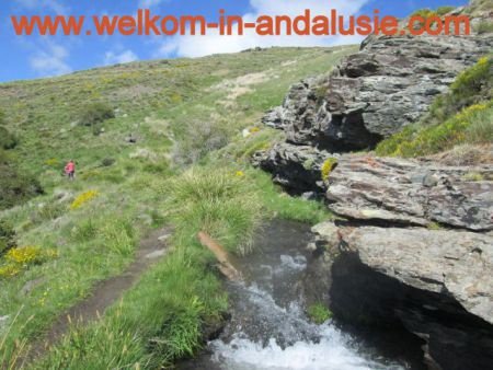 huren, te huur vakantiehuisjes in de natuur zuid spanje - 1