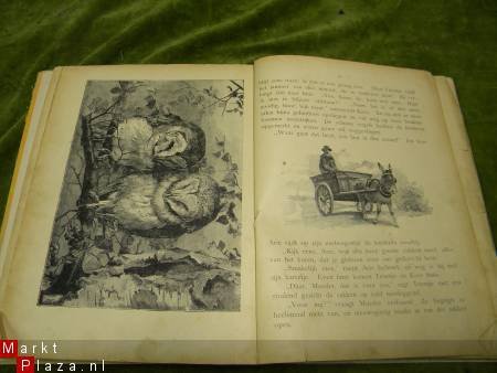 Oud kinderboek: Tusschen de witte waterlelies. - 3