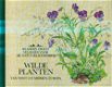 Wilde Planten van West- en Midden-Europa - 1 - Thumbnail