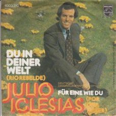 VINYLSINGLE * JULIO IGLESIAS * DU IN DEINER WELT  *