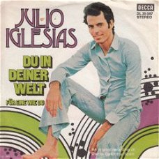 VINYLSINGLE * JULIO IGLESIAS *DU IN DEINER WELT * GERMANY 7"