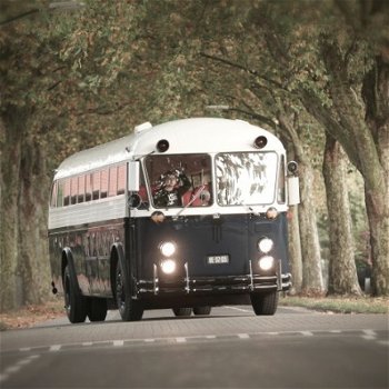 Trouwvervoer bussen, engelse dubbeldekker, amerik. schoolbus - 2