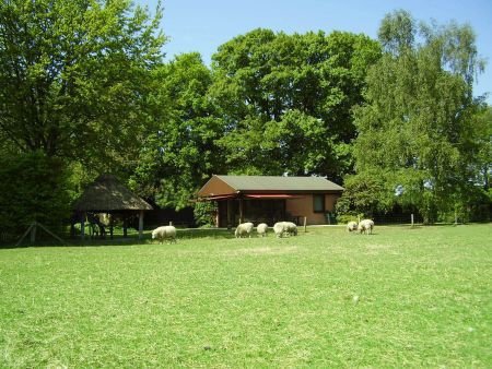 Vierhouten, Veluwe. Idyllisch Gelegen Vakantiewoning. - 1