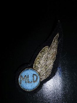 MLD wing - 1