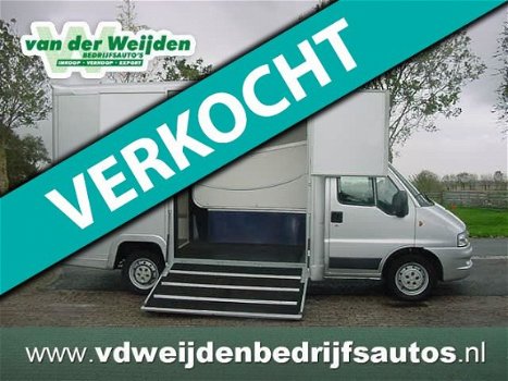 Fiat Ducato - 2-Paards Paardenauto 2.3 JTD 110 PK - 1