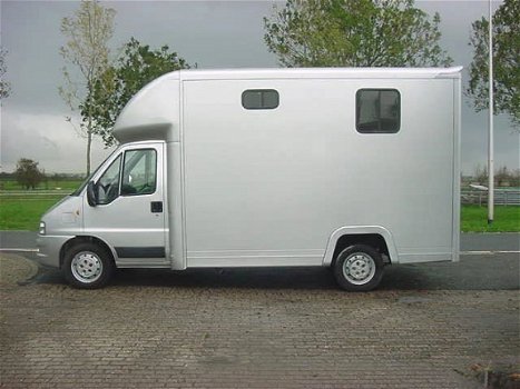 Fiat Ducato - 2-Paards Paardenauto 2.3 JTD 110 PK - 1