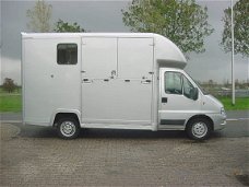 Fiat Ducato - 2-Paards Paardenauto 2.3 JTD 110 PK