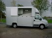 Fiat Ducato - 2-Paards Paardenauto 2.3 JTD 110 PK - 1 - Thumbnail