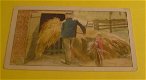 Plaatje van Verkade's album,serie De Boerderij nr.32 - 1 - Thumbnail