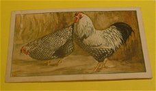 Plaatje van Verkade's album,serie De Boerderij nr.27