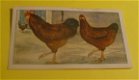 Plaatje van Verkade's album,serie De Boerderij nr.26 - 1 - Thumbnail