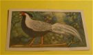 Plaatje van Verkade's album,serie De Boerderij nr.77 - 1 - Thumbnail