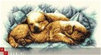 Dimensions Heel lief pakket Peaceful Puppies - 1 - Thumbnail