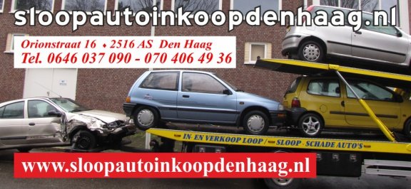 Plaatwerk Renault Twingo Sloopauto inkoop Den haag - 8