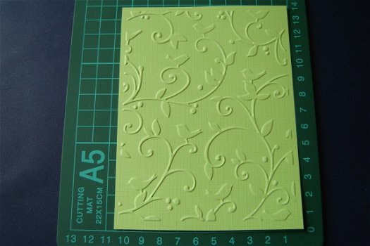 L16. Embossing KAART oplegger, vogeltjes / takjes - 1