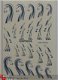 Nagel water Stickers Decals nail art COOL WAVES blauw 16 - 1 - Thumbnail